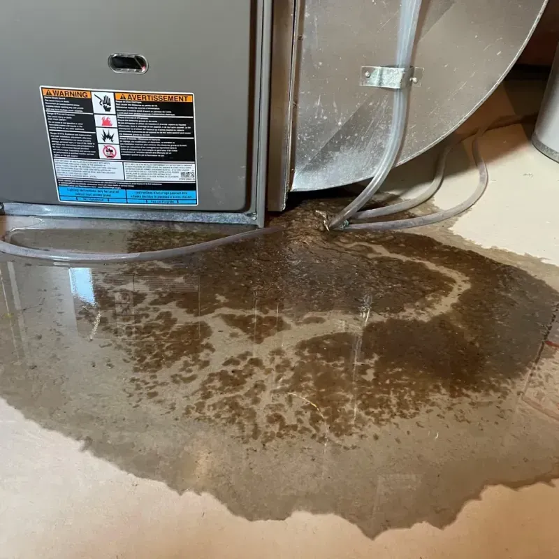 Appliance Leak Cleanup in Chatham, IL